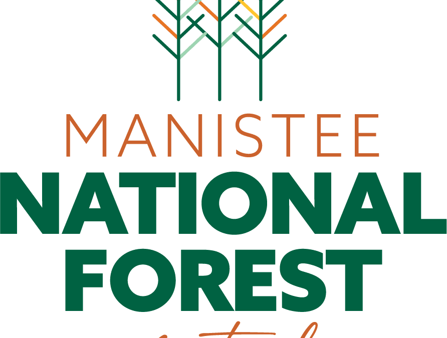 Forest Festival